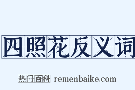 四照花反义词是什么意思的图片